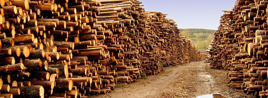 Siddeswara Timbers